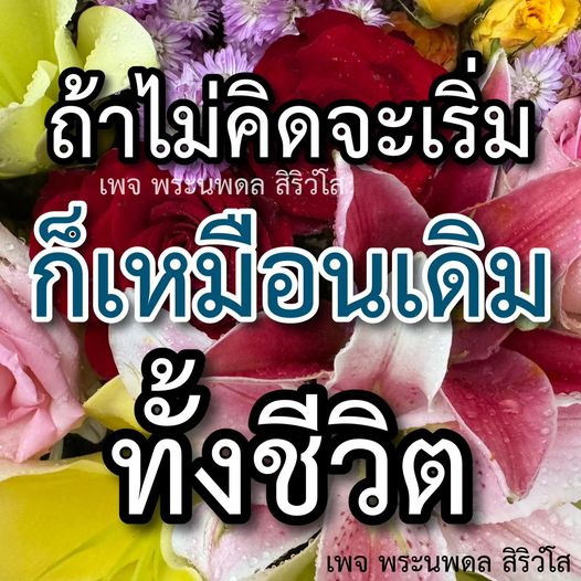 การ์ด No.10253:พระนพดล สิริวํโส