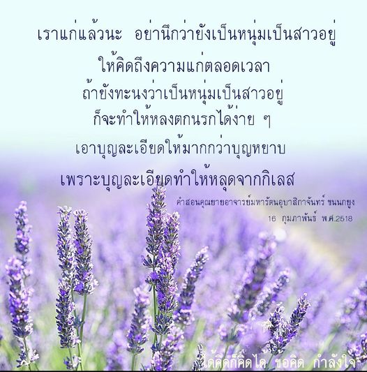 เรียนรู้คำสอนจากคุณยายอาจารย์มหารัตนอุบาสิกาจันทร์ ขนนกยูง ที่ช่วยให้เราเข้าใจความแก่และการสร้างบุญละเอียดเพื่อหลุดพ้นจากกิเลส พร้อมคำแนะนำในการมีชีวิตที่มีคุณค่า