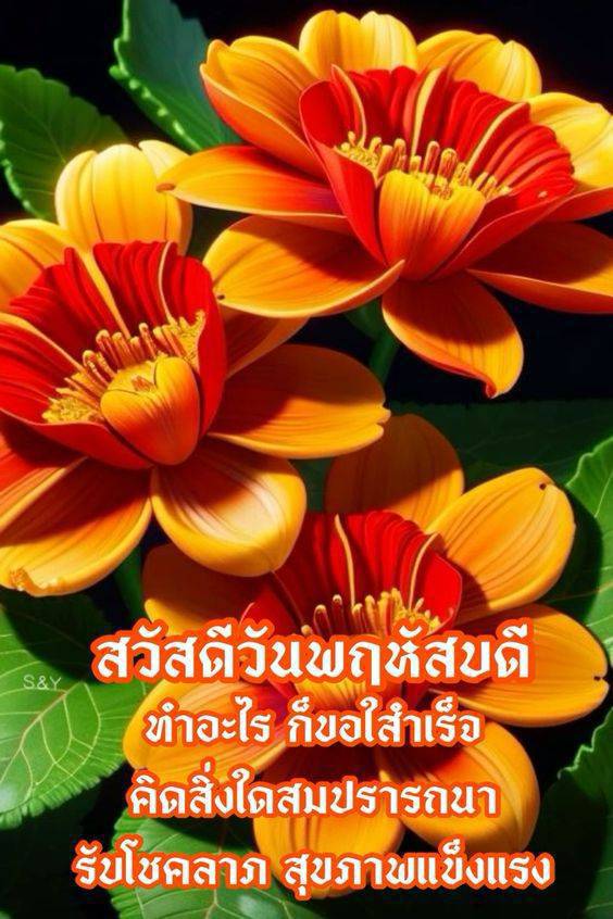  อีการ์ดภาพสวัสดียามเช้าส่งมอบเพื่อเป็นการทักทายให้กำลังใจเพื่อมิตรภาพในเช้าวันใหม่ของทุกๆ วัน