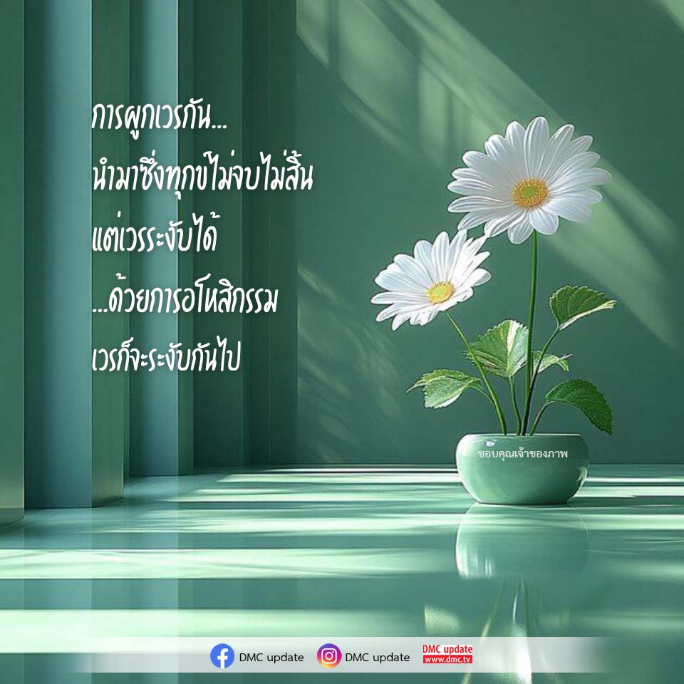 ภาพ No.16529:ทั่วไป