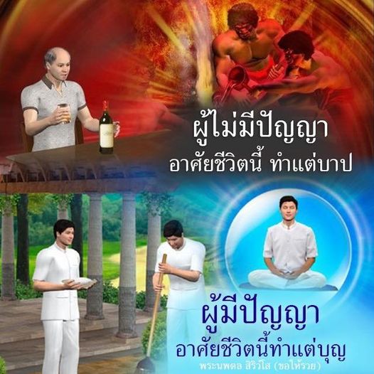 การ์ด No.9934:พระนพดล สิริวํโส