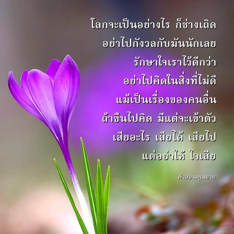 เรียนรู้คําสอนจากคุณยายที่แนะนำให้เราไม่ต้องกังวลกับโลกภายนอก แต่ควรรักษาใจให้สงบและคิดในสิ่งที่ดี เพื่อชีวิตที่มีความสุขและสงบสุข