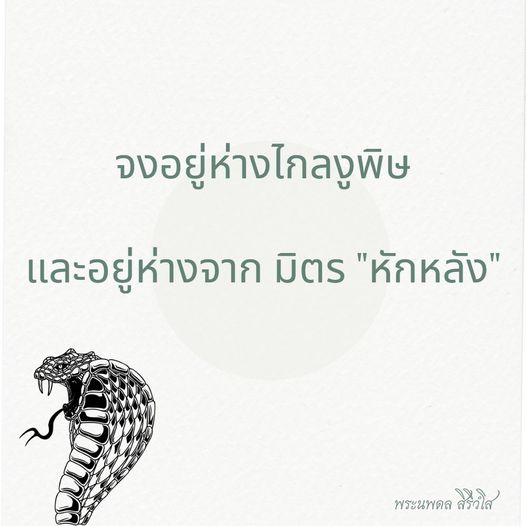 การ์ด No.9911:พระนพดล สิริวํโส