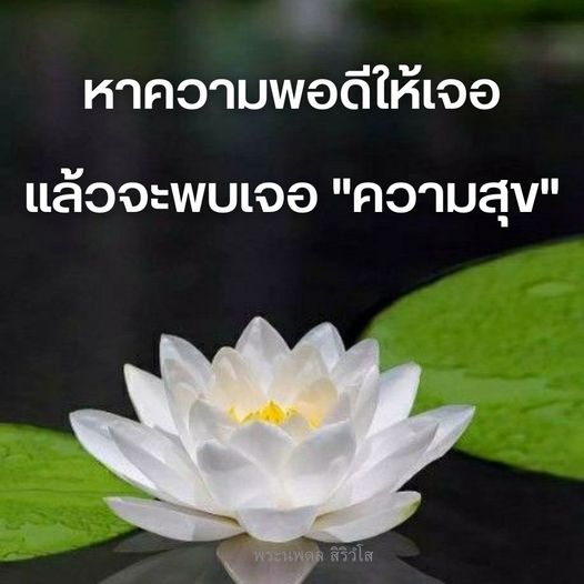 การ์ด No.11129:พระนพดล สิริวํโส