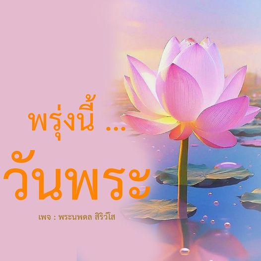 การ์ด No.9986:วันพระ