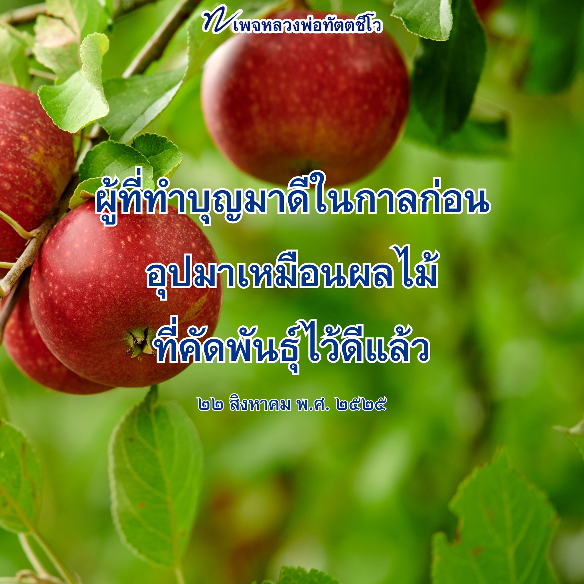 เพจหลวงพ่อทัตตชีโอ - แหล่งรวมความรู้และคำสอนจากพระอาจารย์