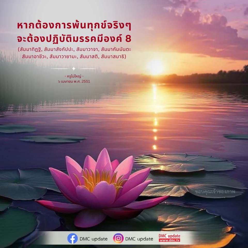 ภาพ No.16602:ทั่วไป