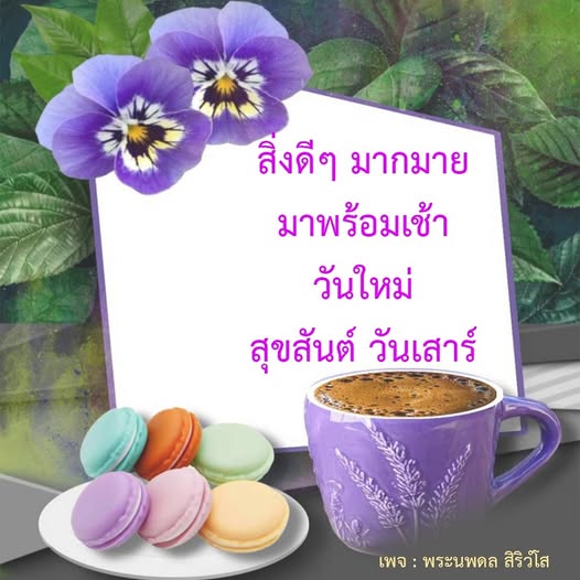 การ์ด No.13172:ภาพสวัสดียามเช้า