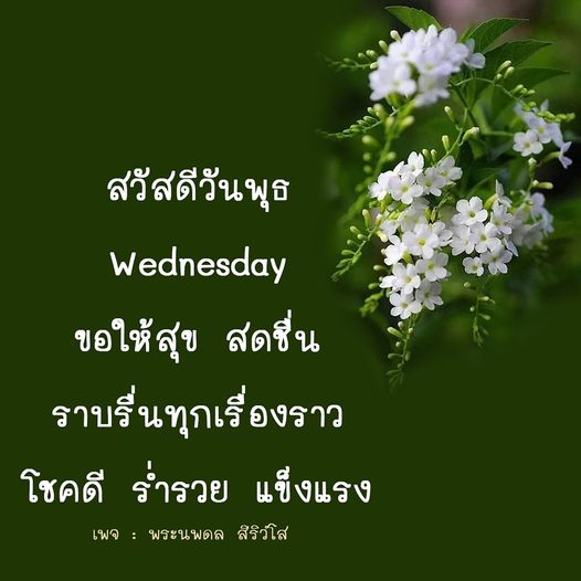 ร่วมเฉลิมฉลองวันพุธด้วยความสุข สดชื่น และโชคลาภในชีวิต พบกับคำอวยพรและแรงบันดาลใจจากเพจ พระนพดล สิริวํโส เพื่อให้ทุกเรื่องราบรื่นและแข็งแรงในทุกๆ วัน
