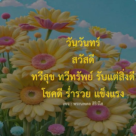การ์ด No.10224:ภาพสวัสดียามเช้า