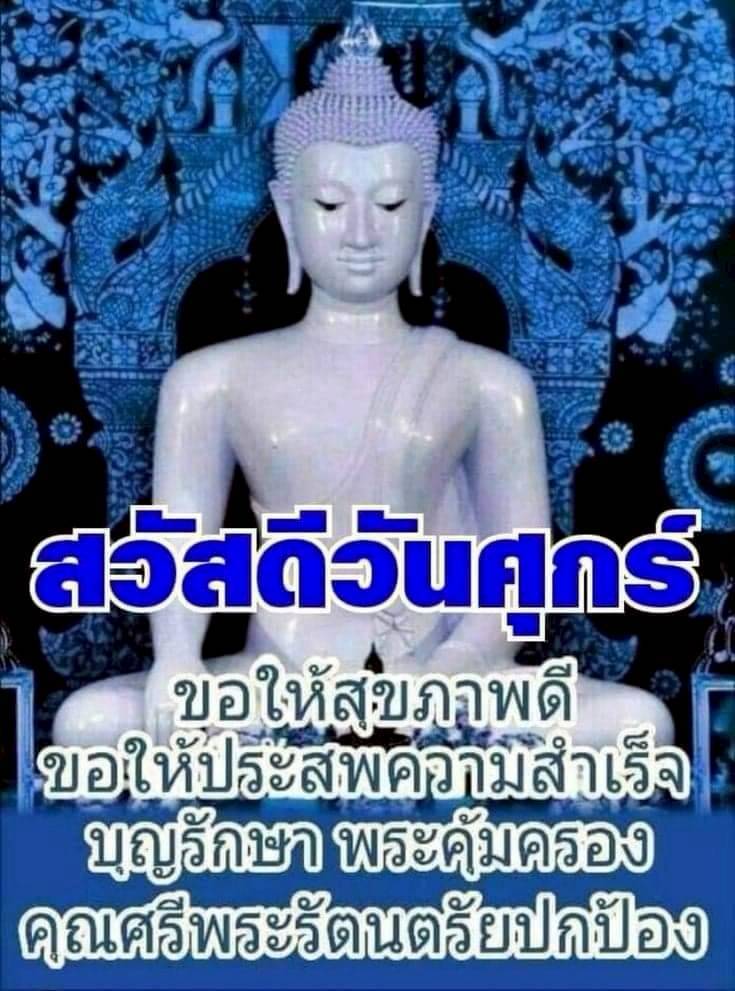 การ์ด No.15817:ทั่วไป