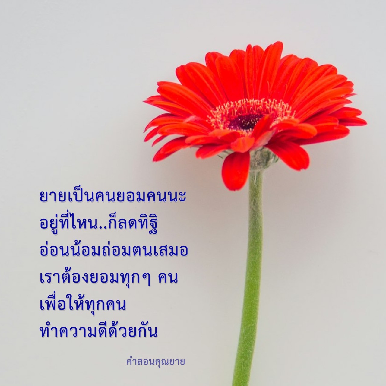 เรียนรู้คำสอนจากคุณยายเกี่ยวกับการยอมรับและการอ่อนน้อมถ่อมตน เพื่อสร้างสังคมที่ดีและส่งเสริมการทำความดีร่วมกัน
