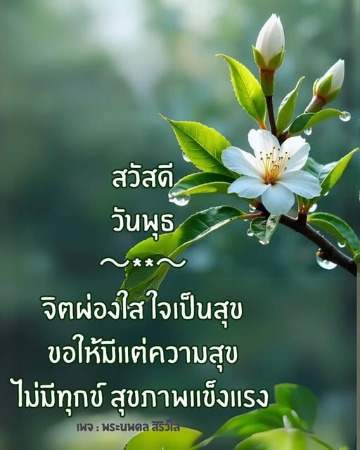 การ์ด No.14740:ภาพสวัสดียามเช้า