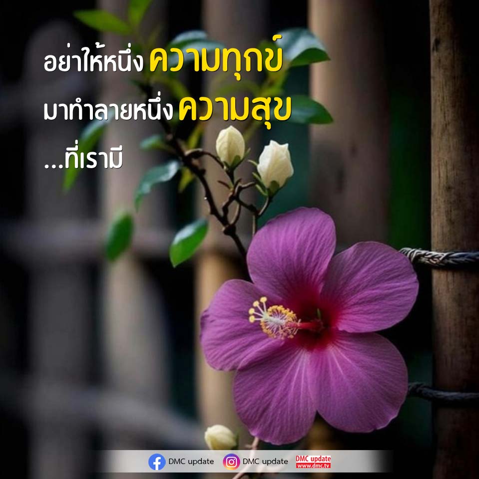 ภาพ No.17497:ทั่วไป