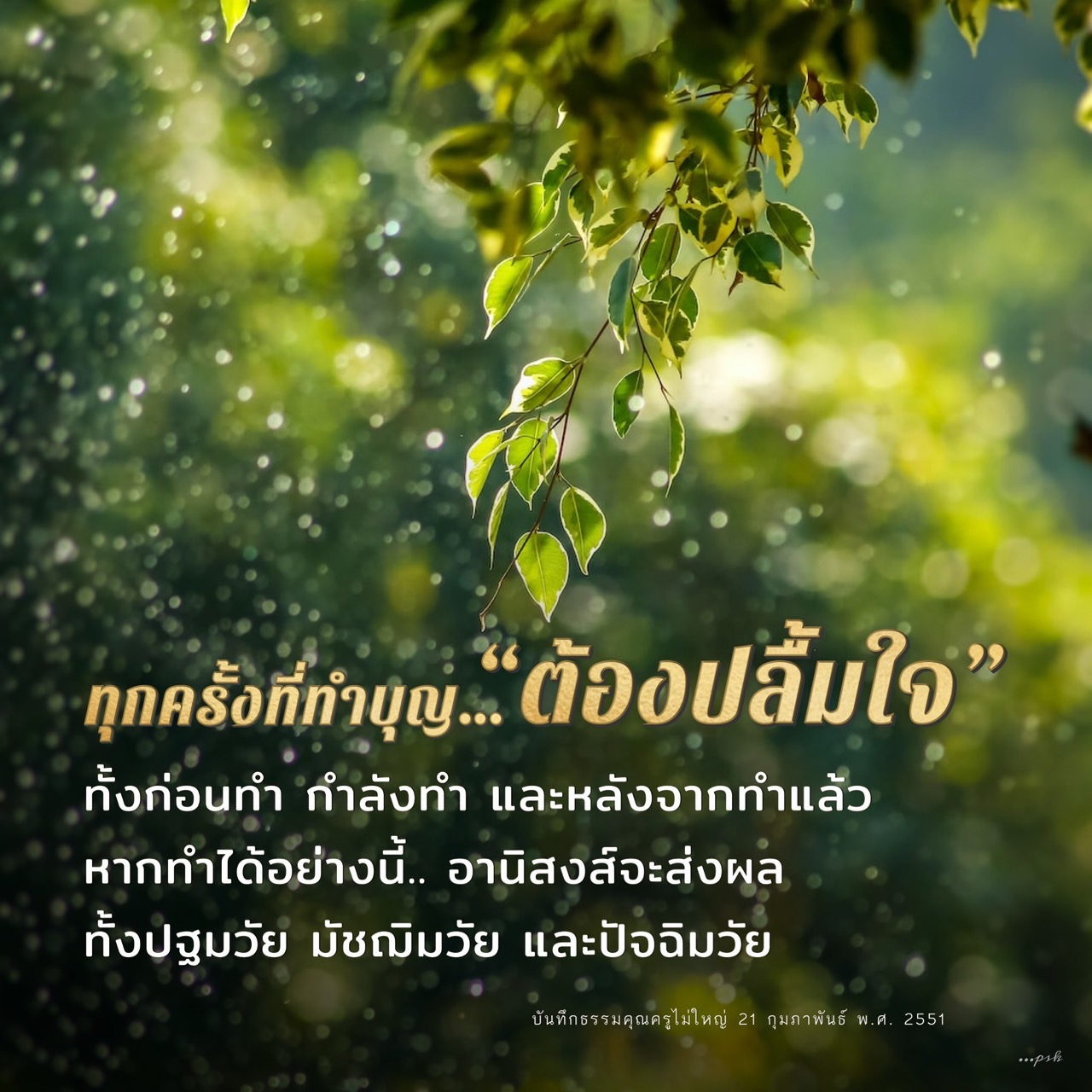 เรียนรู้วิธีการทำบุญอย่างมีความสุขและปลื้มใจทั้งก่อน ระหว่าง และหลังการทำบุญ พร้อมรับรู้ถึงอานิสงส์ที่ส่งผลดีในทุกช่วงวัยจากบันทึกธรรมคุณครูไม่ใหญ่.