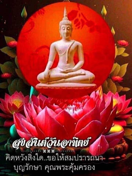 การ์ด No.12429:ภาพสวัสดียามเช้า