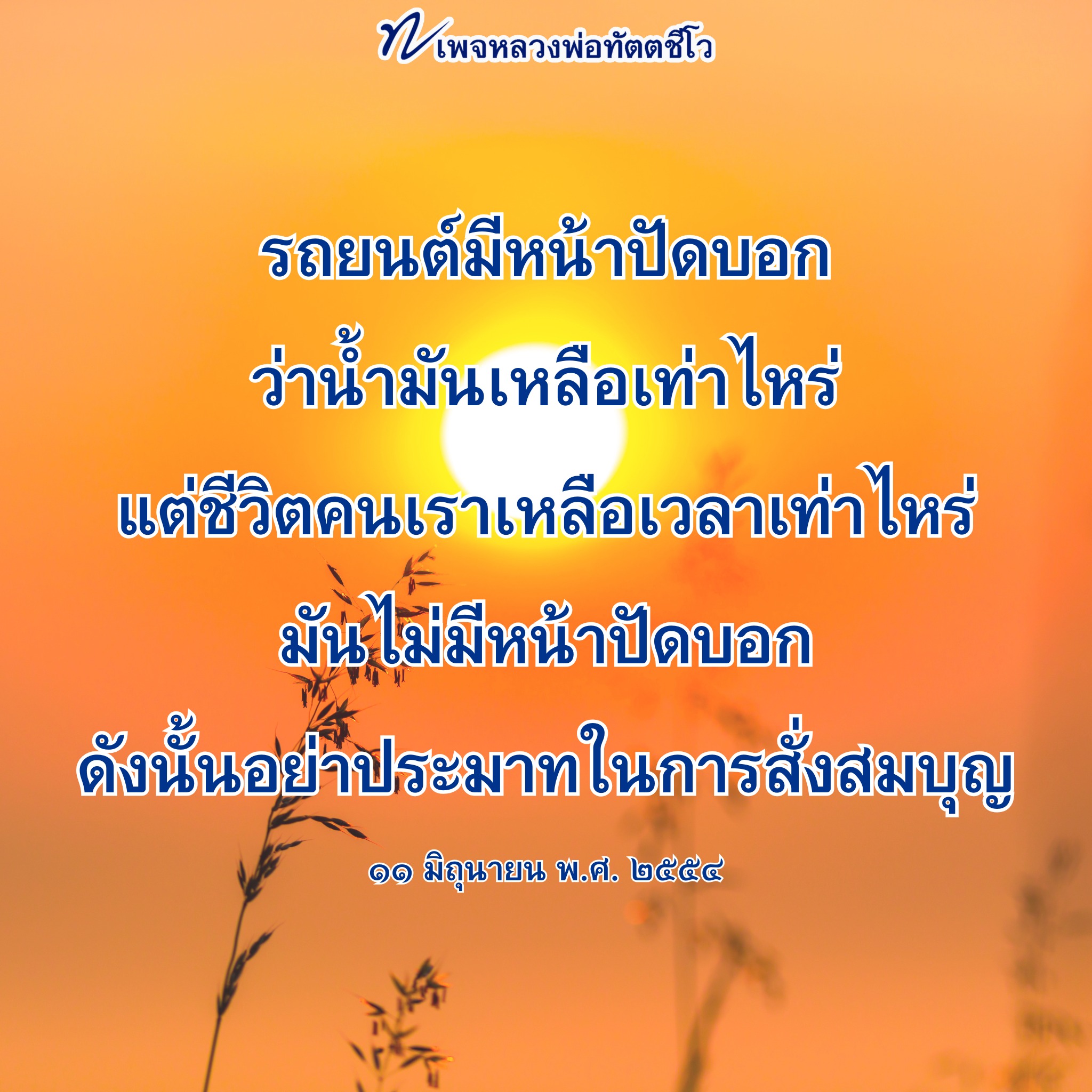 ภาพ No.16661:ทั่วไป