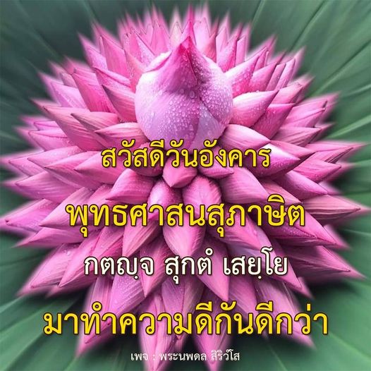 การ์ด No.11089:ภาพสวัสดียามเช้า