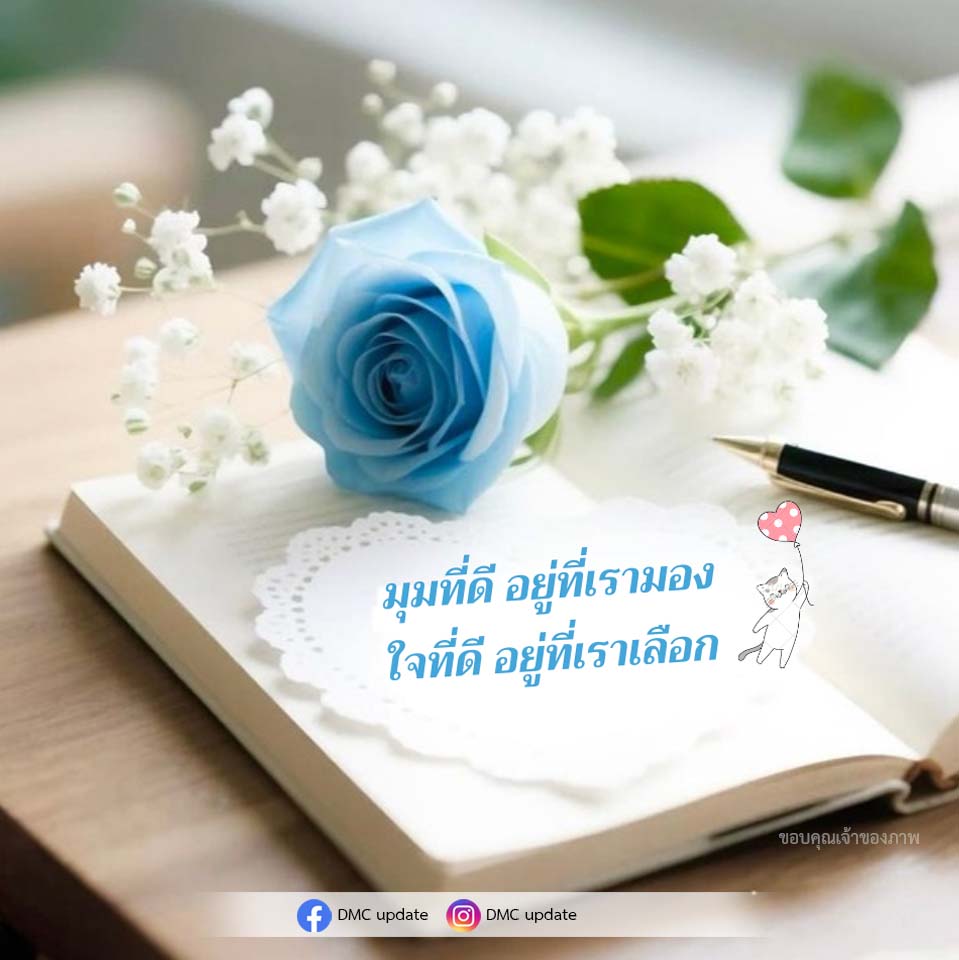 ภาพ No.18653:ทั่วไป