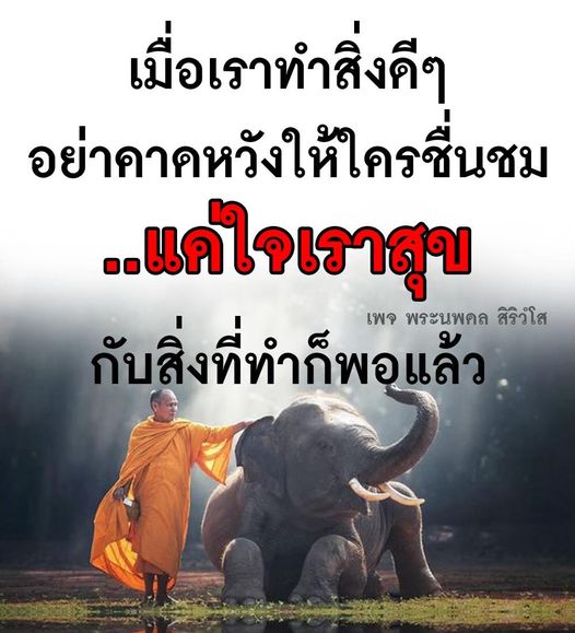 การ์ด No.8626:พระนพดล สิริวํโส
