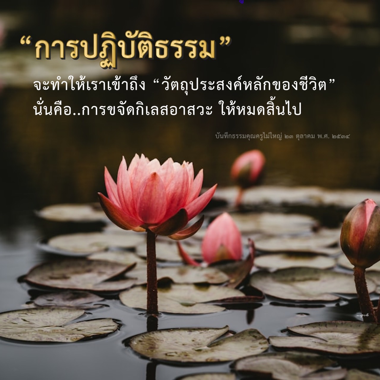เรียนรู้การปฏิบัติธรรมเพื่อเข้าถึงวัตถุประสงค์หลักของชีวิต โดยการขจัดกิเลสอาสวะให้หมดสิ้นไป พบกับแนวทางการพัฒนาจิตใจและการทำความเข้าใจธรรมะในชีวิตประจำวัน