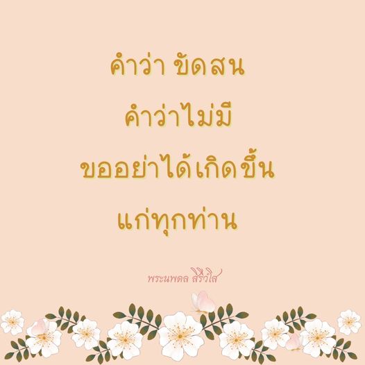 การ์ด No.8327:พระนพดล สิริวํโส