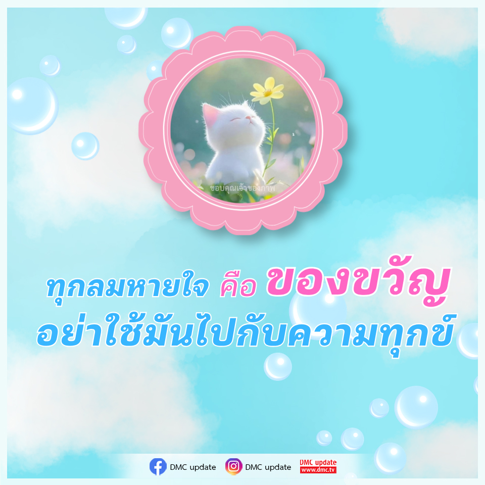 DMC Update: ทุกลมหายใจคือของขวัญ