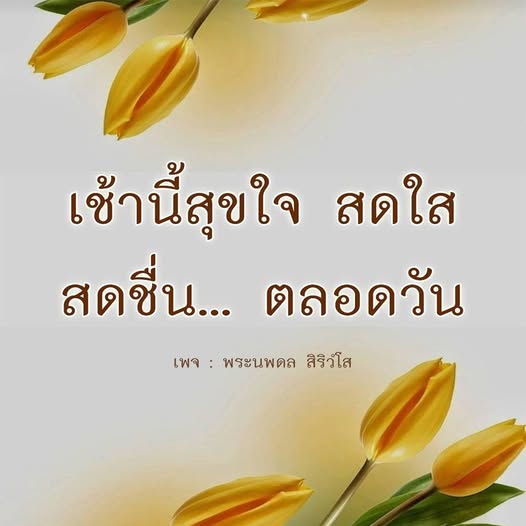 การ์ด No.12028:ภาพสวัสดียามเช้า