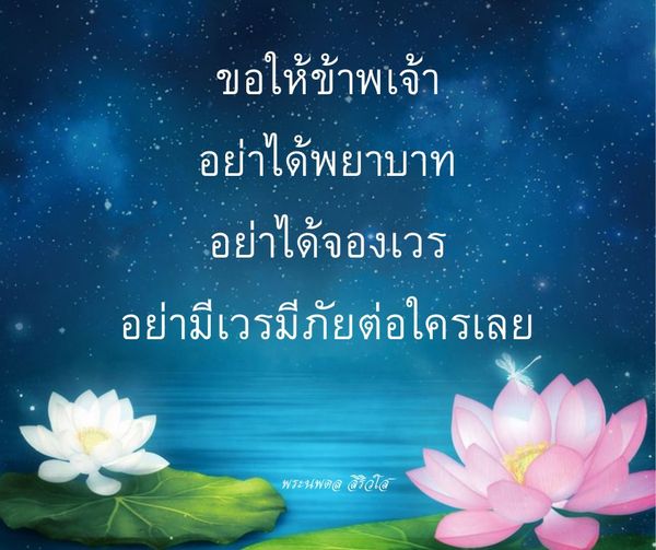 การ์ด No.11406:พระนพดล สิริวํโส