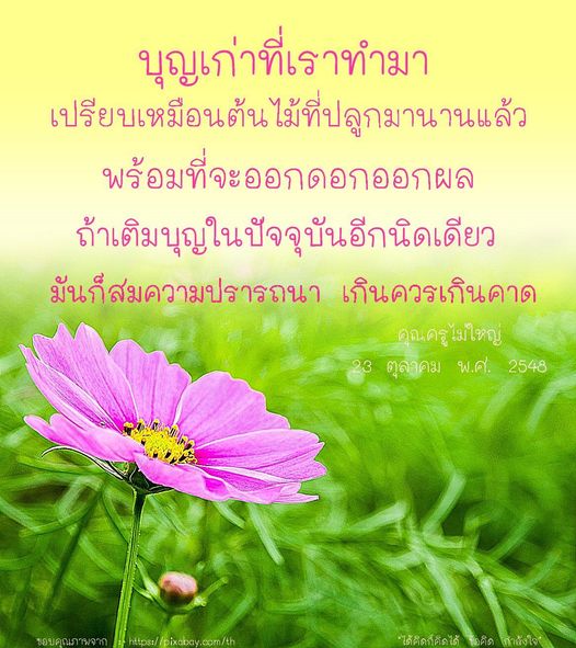 สำรวจแนวคิดเกี่ยวกับบุญเก่าที่เราทำมา เปรียบเสมือนต้นไม้ที่เติบโตและพร้อมออกดอกออกผล พร้อมเคล็ดลับในการเติมบุญในปัจจุบันเพื่อให้สมความปรารถนาและเกินคาดตามแนวทางของคุณครูไม่ใหญ่