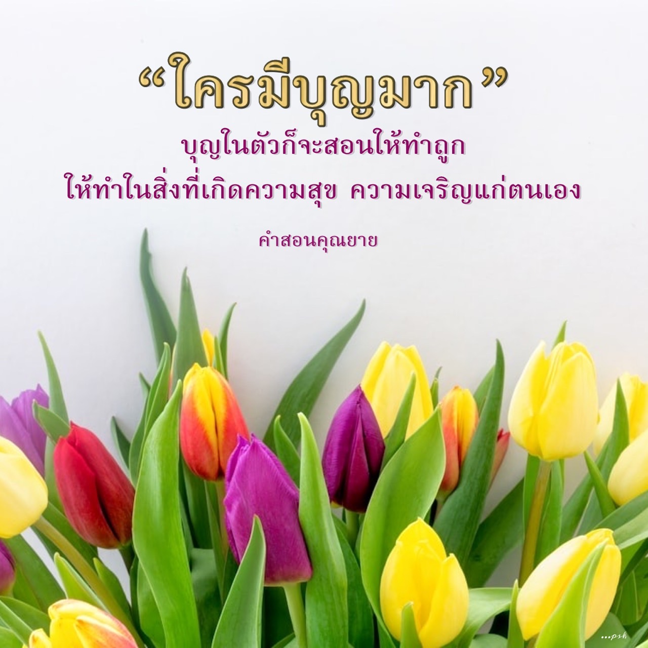 ค้นพบคำสอนจากคุณยายเกี่ยวกับบุญและความสุขที่ช่วยให้คุณสร้างชีวิตที่เจริญรุ่งเรืองและมีความสุขในทุกวัน เรียนรู้วิธีการทำบุญและการใช้ชีวิตอย่างมีคุณค่า
