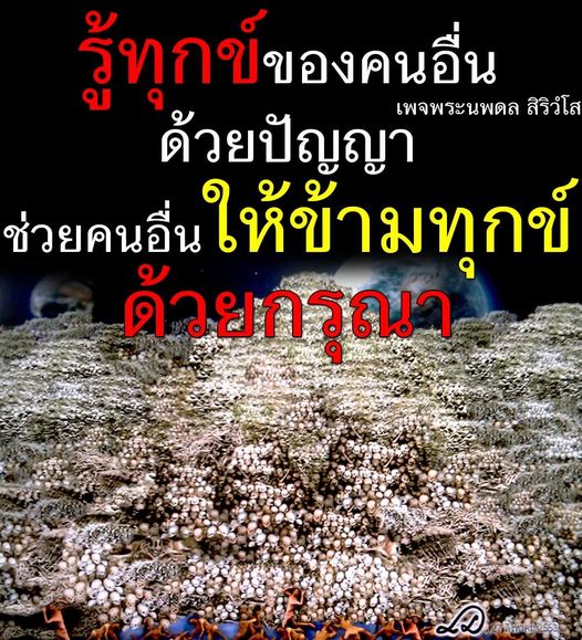 การ์ด No.11608:พระนพดล สิริวํโส