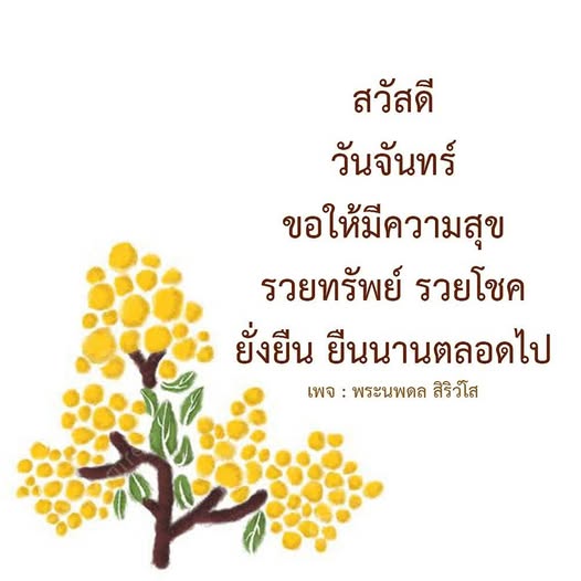 การ์ด No.11842:ภาพสวัสดียามเช้า