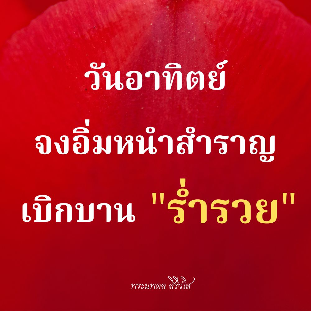 การ์ด No.6990:ภาพสวัสดียามเช้า