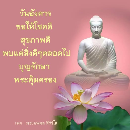การ์ด No.11862:ภาพสวัสดียามเช้า