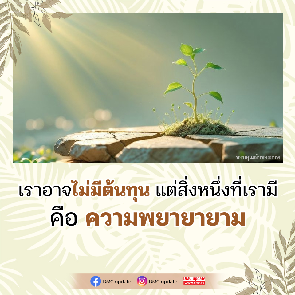 DMC Update: ความพยายามที่ไม่มีต้นทุน
