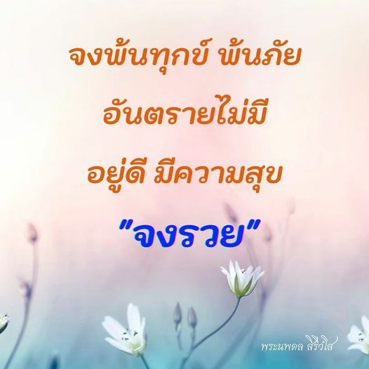 การ์ด No.9020:พระนพดล สิริวํโส