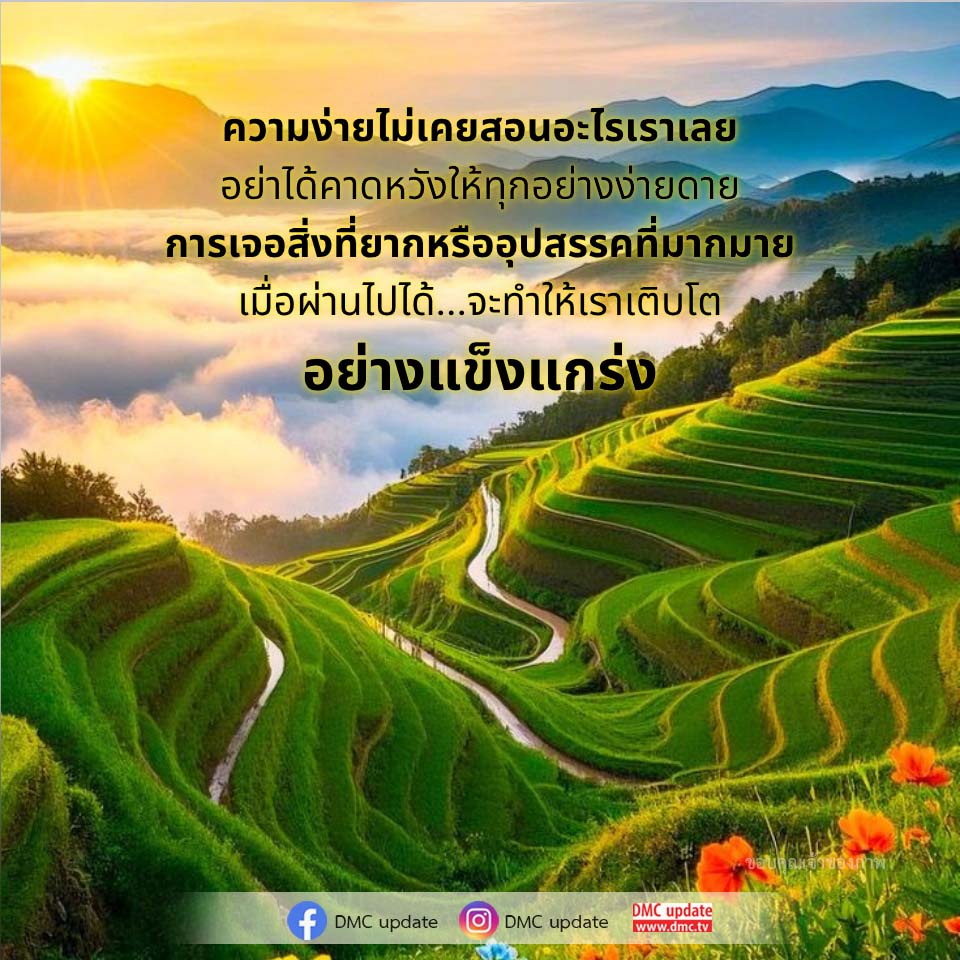 ภาพ No.16646:ทั่วไป