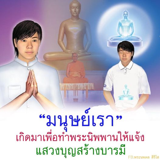 การ์ด No.10493:พระนพดล สิริวํโส