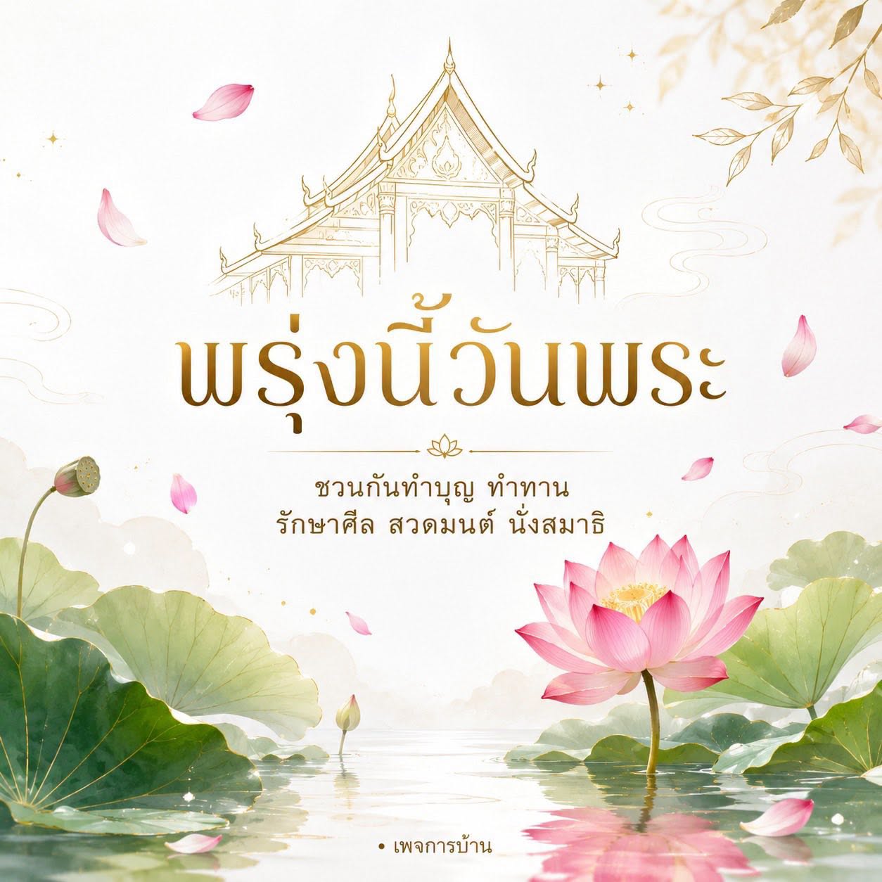 ภาพ No.18497:undefined