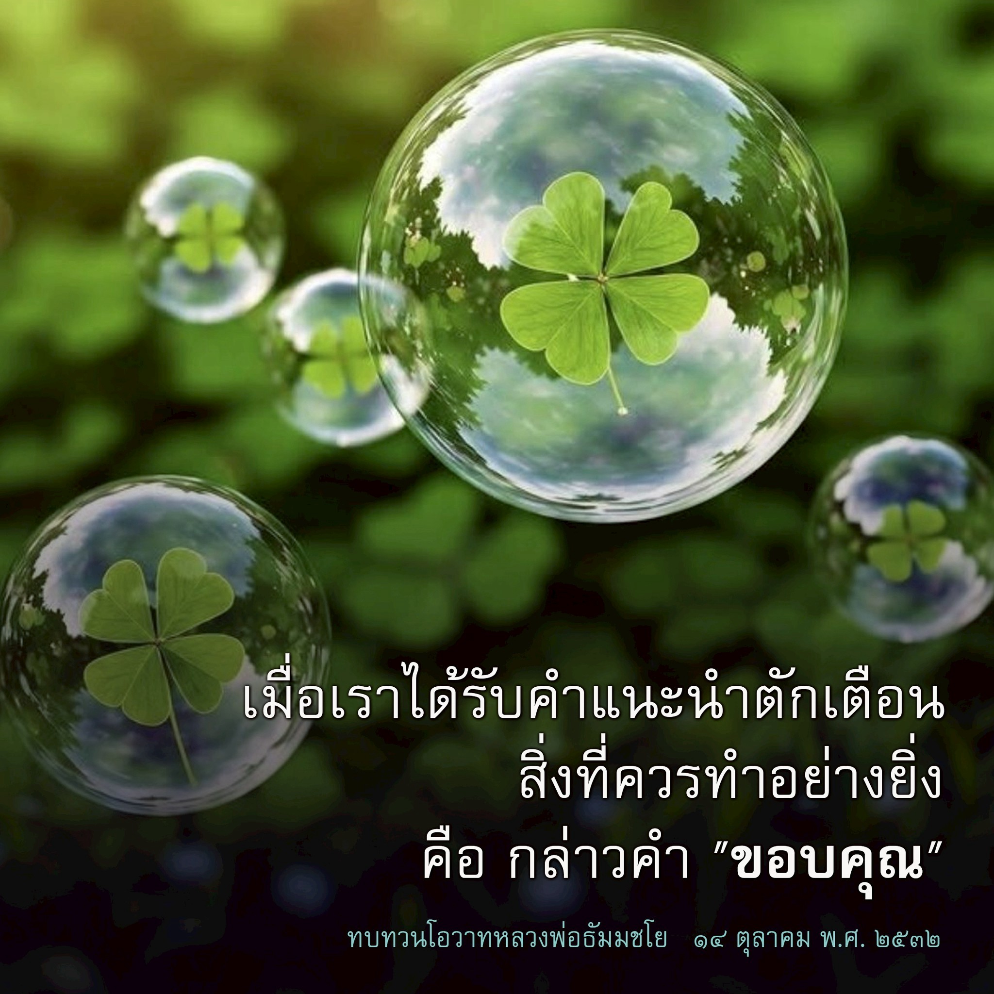 การตักเตือนและการขอบคุณ: โอวาทจากหลวงพ่อธัมมชโย