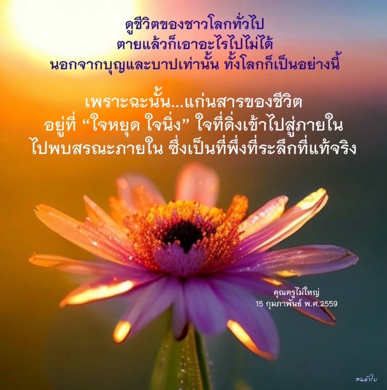 สำรวจความหมายของชีวิตและบทเรียนจากการมีอยู่ ที่จะช่วยให้เราเข้าใจถึงบุญและบาป พร้อมทั้งค้นพบสรณะภายในที่เป็นที่พึ่งที่แท้จริงในใจ