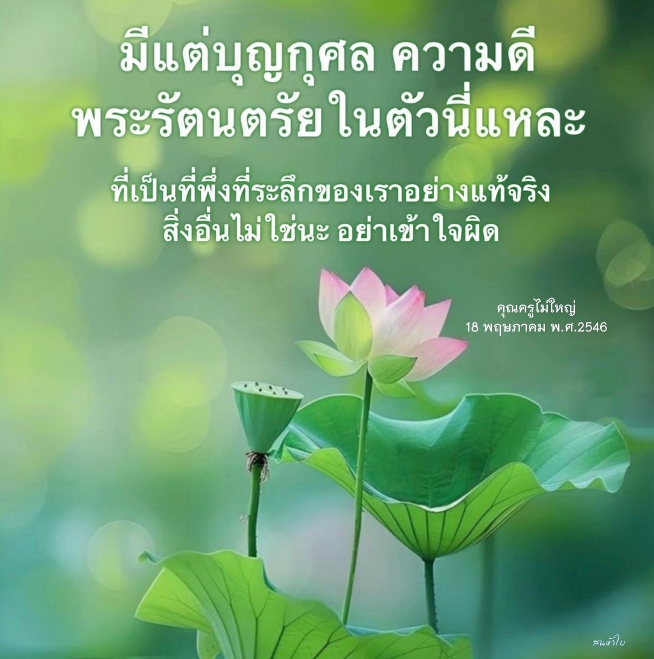 สำรวจความหมายของบุญกุศลและพระรัตนตรัยในชีวิตประจำวัน ที่เป็นที่พึ่งที่แท้จริงของเรา พร้อมเรียนรู้จากคำสอนของคุณครูไม่ใหญ่ เพื่อเสริมสร้างความดีในตัวเรา