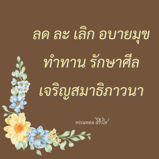 การ์ด No.11013:พระนพดล สิริวํโส
