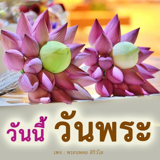 การ์ด No.9281:วันพระ