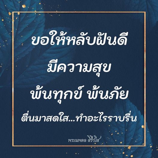 การ์ด No.9100:พระนพดล สิริวํโส