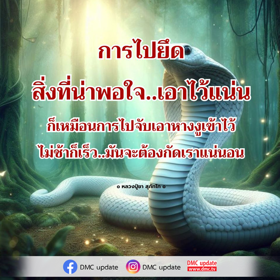 สำรวจแนวคิดการไปยึดและการปล่อยวางตามคำสอนของหลวงปู่ชา สุภัทโท เพื่อค้นหาความสุขที่ยั่งยืนและหลีกเลี่ยงการกัดกร่อนจากสิ่งที่เรายึดมั่น พร้อมอัปเดตข้อมูลจาก DMC.