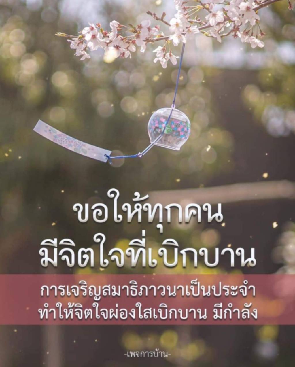 เรียนรู้วิธีการเจริญสมาธิภาวนาเป็นประจำ เพื่อเสริมสร้างจิตใจที่ผ่องใสและเบิกบาน พร้อมทั้งเพิ่มพลังให้กับชีวิตประจำวันของคุณ