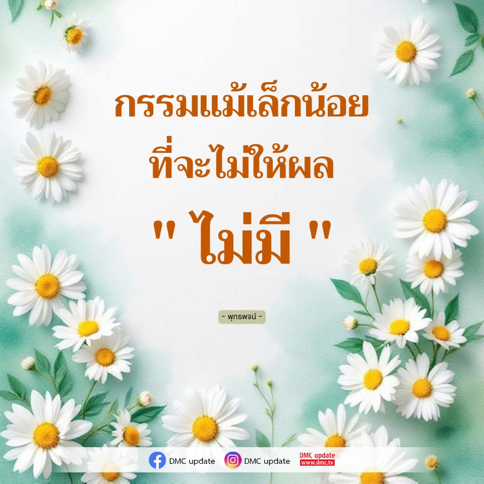 ภาพ No.17244:ทั่วไป