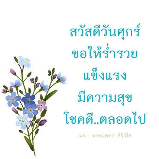 การ์ด No.13028:ภาพสวัสดียามเช้า